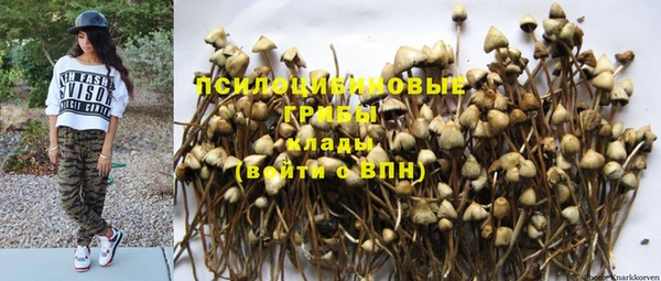 гидропоника Мегион