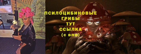гидропоника Мегион
