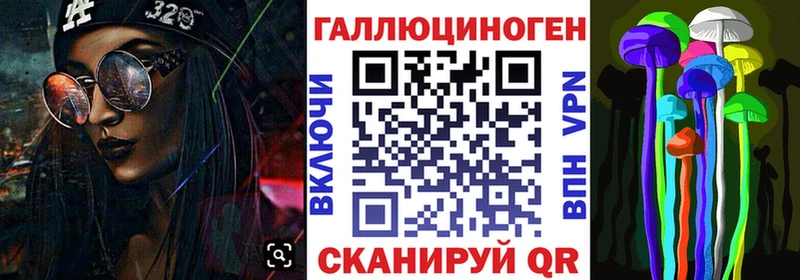 Купить закладки  Королёв  Псилоцибиновые грибы мухоморы 