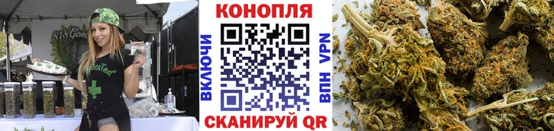 Купить где  Королёв  Бошки марихуана THC 21% 